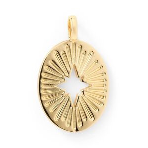 Navigating Winter Star Hole Gold Charm for Pets and People